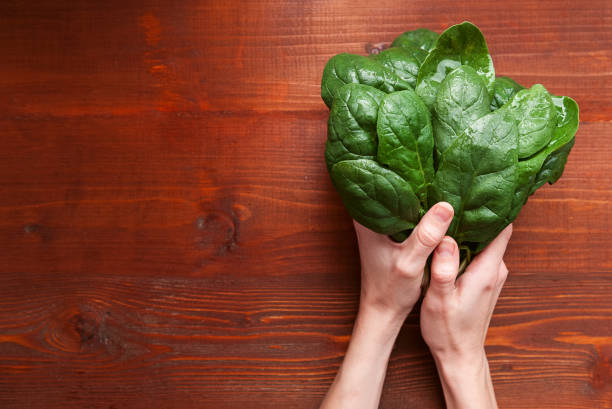 istock wet leaves in female hands 876463220
