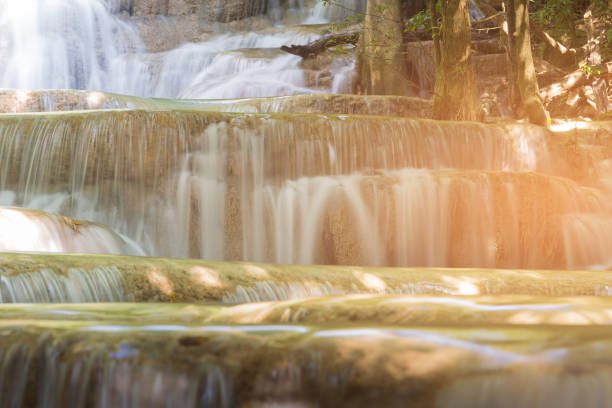 깊은 열 대 숲에서 스트림 폭포를 닫습니다 - costa rica waterfall heaven rainforest 뉴스 사진 이미지