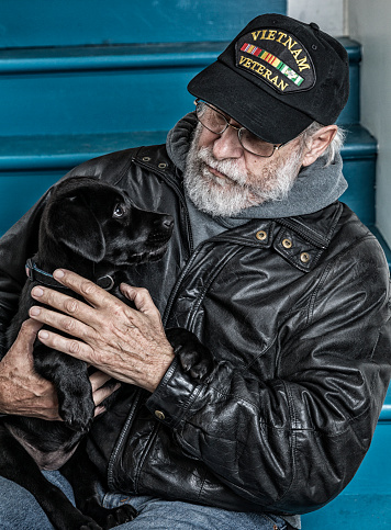 An authentic 67 year old United States Navy Vietnam War military veteran senior adult man is holding a cute black Labrador Retriever pet puppy. They are looking at each other face to face - the man looking down as the dog looks up alertly - contemplating his face curiously. The veteran is wearing an old black leather jacket over a heavy grey hoody sweatshirt, and an inexpensive, non-branded, generic, souvenir shop replica Vietnam veteran commemorative baseball hat style cap. Potential image uses: To illustrate or highlight military veterans' problems and opportunities returning to civilian life; veterans' healthcare, medicine and mental illness concepts including PTSD (post traumatic stress disorder), anxiety, coping, emotional stress, etc.; nostalgia, melancholy, loneliness, relationships, therapy, animal therapy, recovery, assistance, connections, love, sharing, bonding, renewal, raison d'etre, caring, etc.