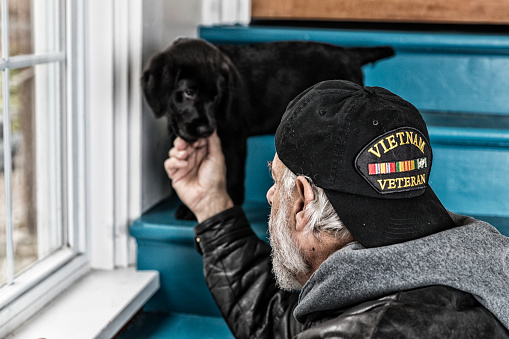 Rear quarter view of a scruffy, authentic 67 year old United States Navy Vietnam War military veteran senior adult man with his grubby, dandruff spotted hat on backwards - back to front. He is sitting on a staircase next to an outdoor window scratching under the snout of a cute black Labrador Retriever pet puppy standing a few steps above him. The veteran is wearing an old black leather jacket over a heavy grey hoody sweatshirt, and an inexpensive, non-branded, generic, souvenir shop replica Vietnam veteran commemorative baseball hat style cap. Potential image uses: To illustrate or highlight military veterans' problems and opportunities returning to civilian life; veterans' healthcare, medicine and mental illness concepts including PTSD (post traumatic stress disorder), anxiety, coping, emotional stress, etc.; nostalgia, melancholy, loneliness, relationships, therapy, animal therapy, recovery, assistance, connections, love, sharing, bonding, renewal, raison d'etre, caring, etc.
