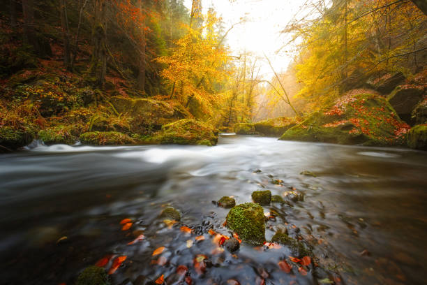 istock Kamnitz Gorge in Saxon switzerland national park 876466326