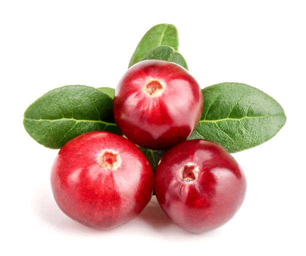 istock Cranberry with leaf isolated on white background closeup macro 876466454
