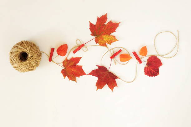 istock Autumn composition. Frame of autumn leaves, acorn, pine cones on white background 876466730