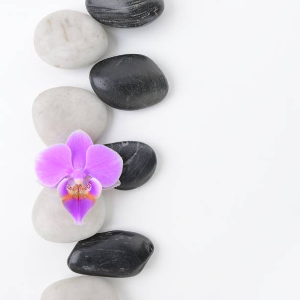 istock Bamboo and orchid, Spa stones on a white background 876466932