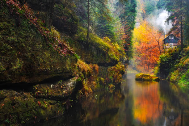 istock Kamnitz Gorge in Saxon switzerland national park 876467048
