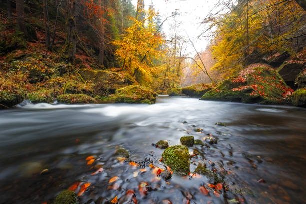 istock Kamnitz Gorge in Saxon switzerland national park 876467136