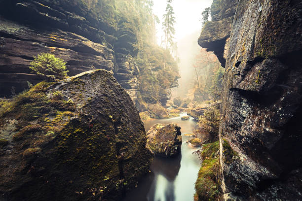The Kamnitz Gorge in Saxon switzerland national park