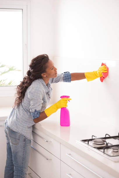 istock Woman cleaning the house kitchen. 876470212