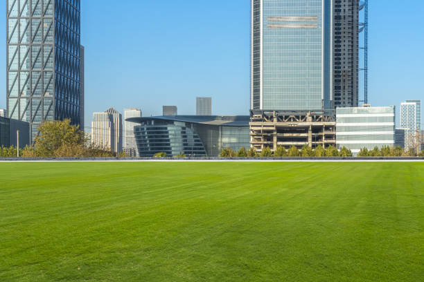 istock beautiful green meadow near modern office building 876481368