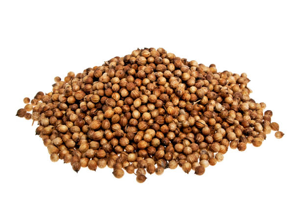 istock Heap coriander seeds on a white background 876485020