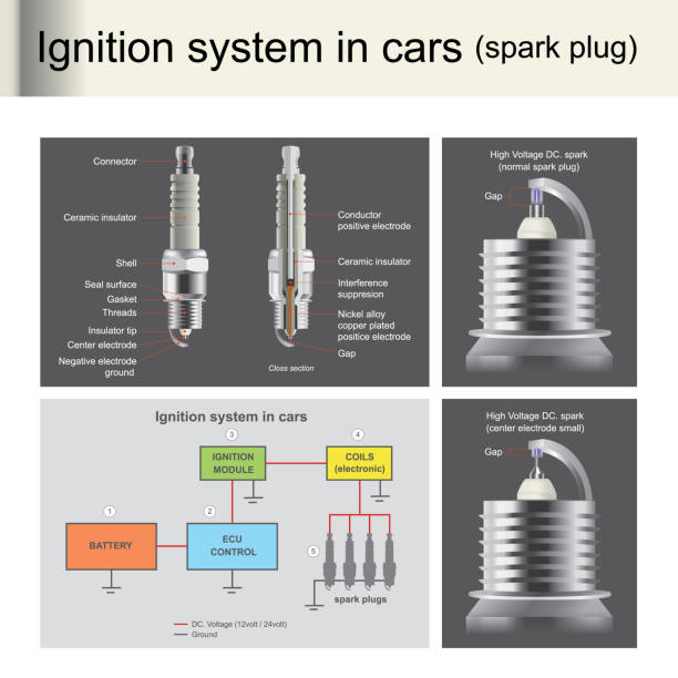 Spark plugs are used to ignition the engine, control by computer unit
Spark plugs are important for engines that use gasoline. Illustration info graphic. vector art illustration