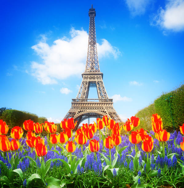istock Eiffel Tower at spring, France 876486176
