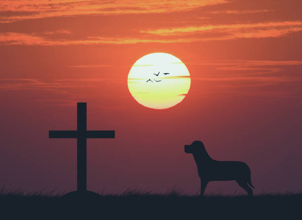 silhouette della croce con il tramonto, vintage - church dawn christianity bird foto e immagini stock