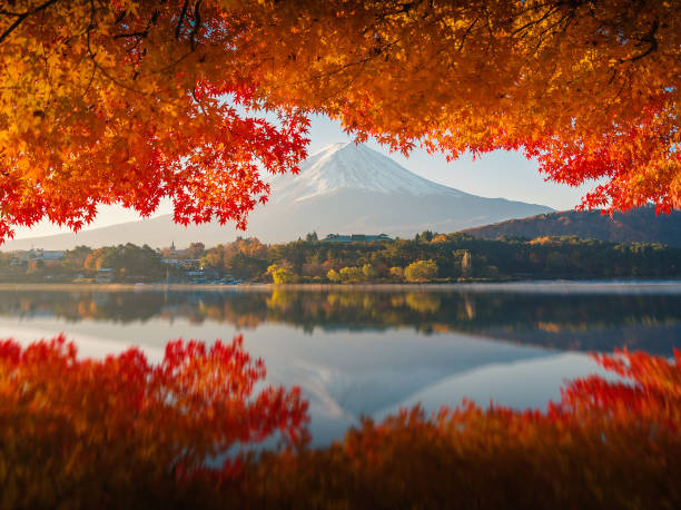 istock Mt.Fuji in autumn,morning 876487302