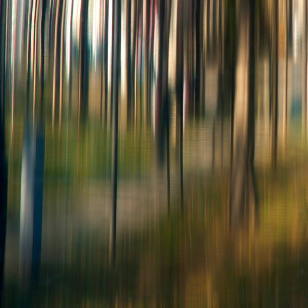 istock Trees in the forest abstract detail 876489850