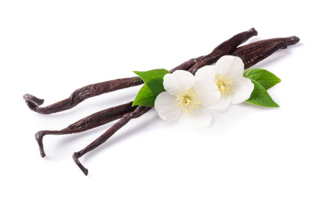 istock Vanilla sticks with flower and leaf isolated on white background 876496422