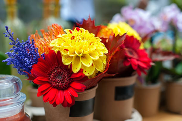 istock Colorful autumn flowers 876496726