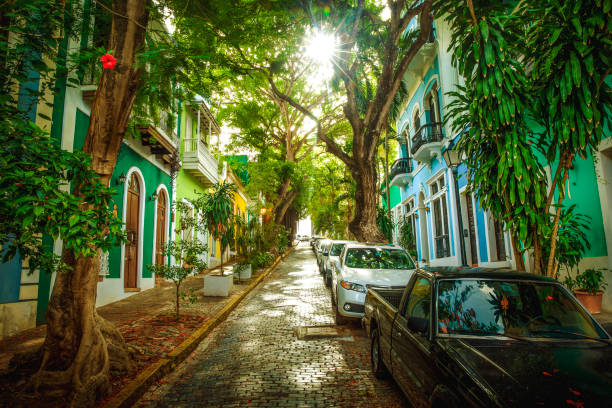 beautiful street full of trees in old san juan, puerto rico - old san juan imagens e fotografias de stock