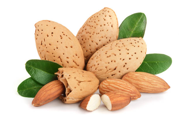 istock Group of almond nuts with leaves isolated on white background 876498594