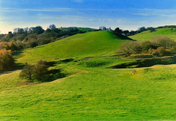 istock Lush green English countryside 876504710