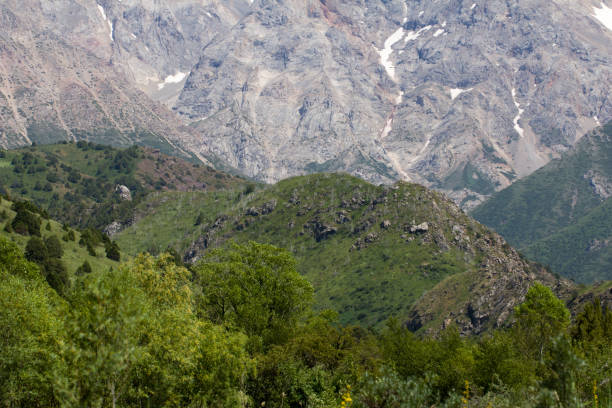 istock beautiful nature. Mountains in Kazakhstan 876512164