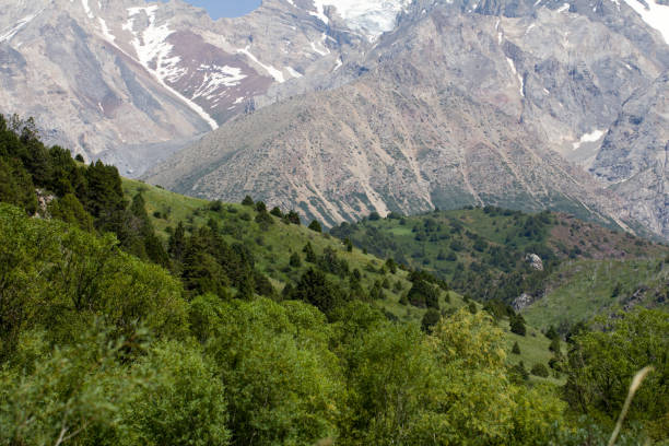 istock beautiful nature. Mountains in Kazakhstan 876512478
