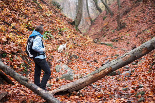 istock Young woman hiking with a dog 876513236