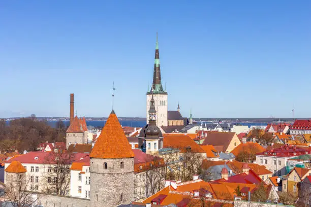 Tallinn, Estonia old city view from Toompea Hill at midday summer. Old town panoramic view with blue sky and retro vintage building in Europe