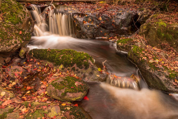 istock Small creek in autumn colors 876522820