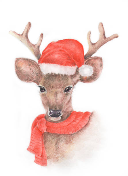 istock Watercolor and color pencil  illustration of deer 876526448