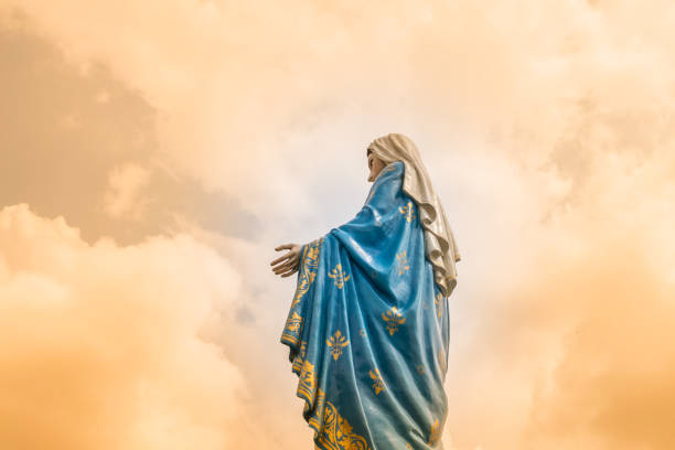 la statua della vergine maria nella cattedrale dell'immacolata concezione è una sede della chiesa cattolica su cattolica. - madonna della salute foto e immagini stock