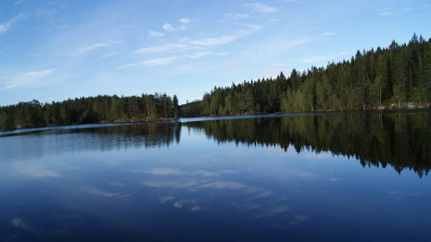 istock norwegian nature in the summer 876535480