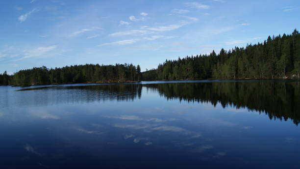 istock norwegian nature in the summer 876535492