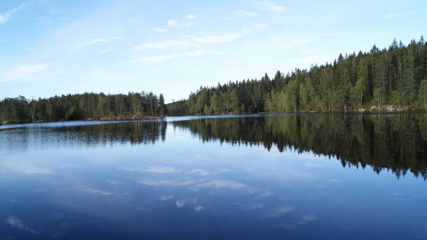 istock norwegian nature in the summer 876535500