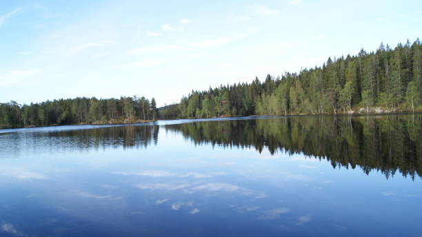 istock norwegian nature in the summer 876535508