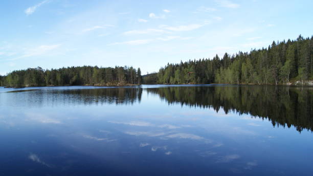 istock norwegian nature in the summer 876535520