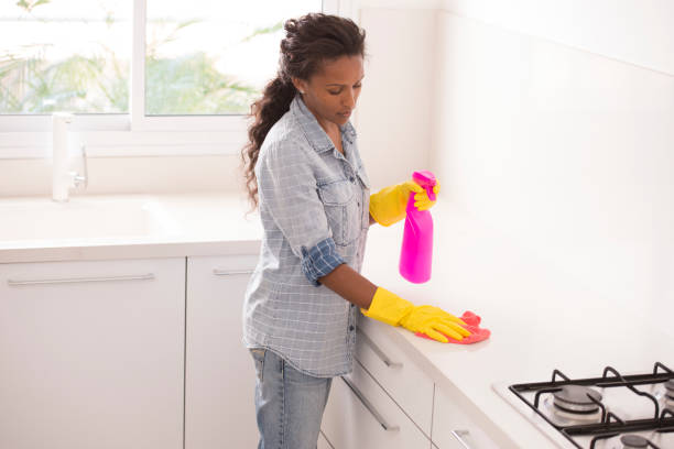 istock Woman cleaning kitchen counter. 876535582