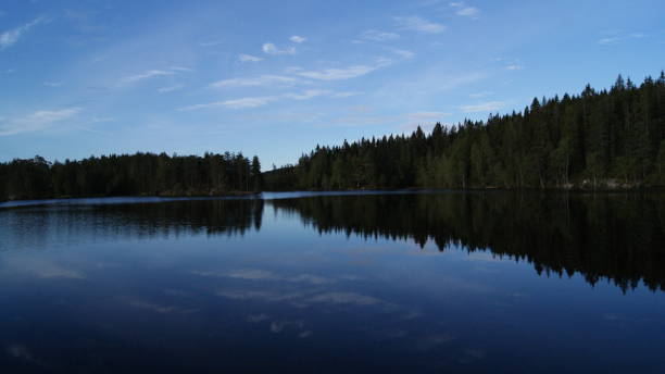 istock norwegian nature in the summer 876535604
