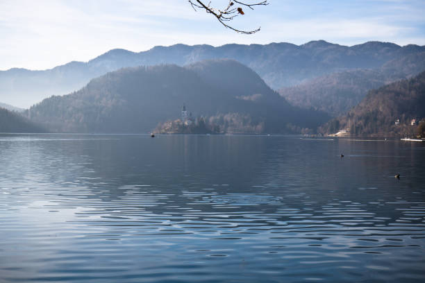 malerischen panoramablick auf see bled inmitten der julischen alpen im sonnigen blauen himmel hintergrundbeleuchtung mit kirche auf der insel im kalten winter mit reflexion über wasser und nackten baum, bled, slowenien - julian alps mountain lake reflection stock-fotos und bilder