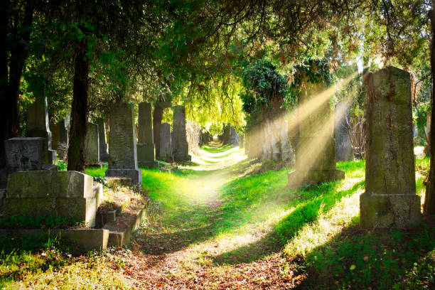 istock Jewish cemetery with sunbeams 876541856