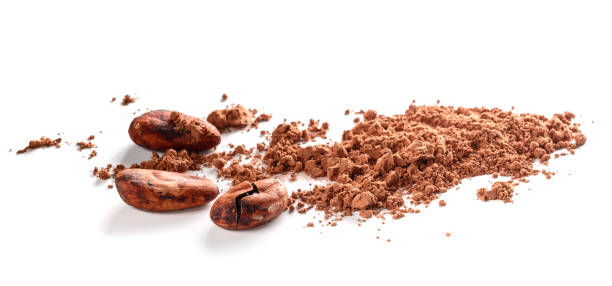 istock Cacao powder and cocoa beans isolated on white 876547090