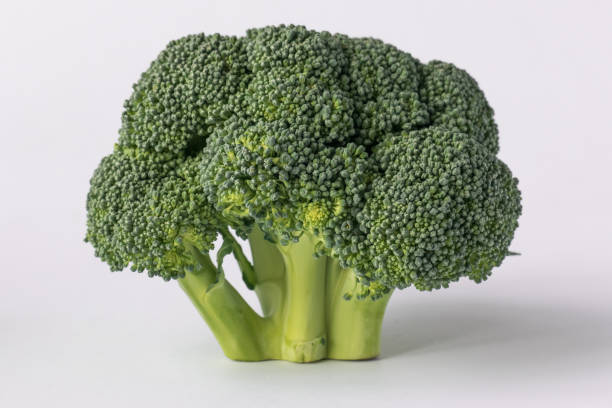 istock Sprig of broccoli as pattern of bonsai 876547290