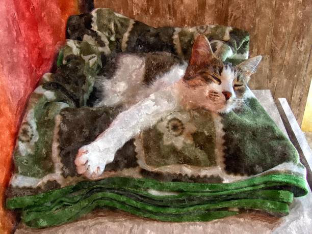 istock Cute cat sleeping in a cozy nest 876551360