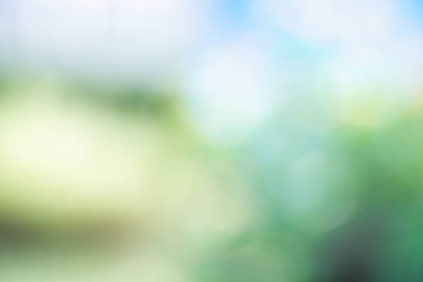 istock Blur background of green tree with sky bokeh nature light 876551402