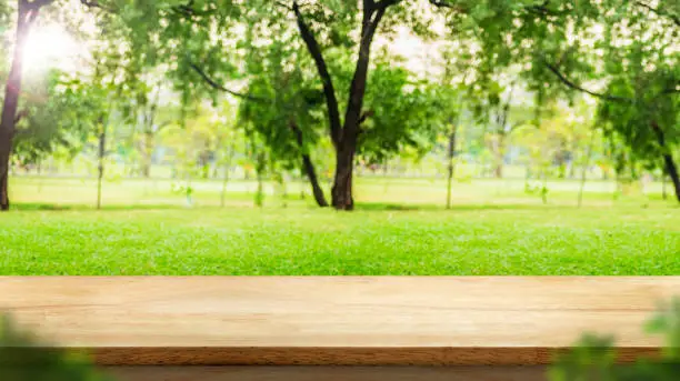 Empty wood table top with blur park green nature bokeh and leaf foreground,Mock up for display or montage of product,Banner or header for advertise on social media,Spring and Summer background.