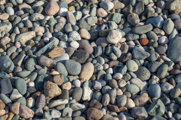 istock Nature background from gray sea pebbles, texture 876557908