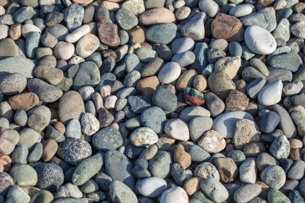 istock Nature background from gray sea pebbles, texture 876558092