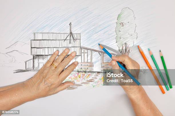 Elderly Woman Painting Color On Her Drawing Hobby At Home Stock Photo - Download Image Now