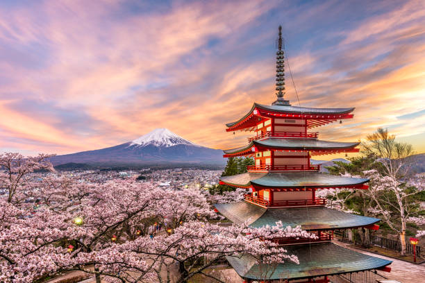 Fuji Japan in Spring Fujiyoshida, Japan at Chureito Pagoda and Mt. Fuji in the spring with cherry blossoms. pagoda photos stock pictures, royalty-free photos & images