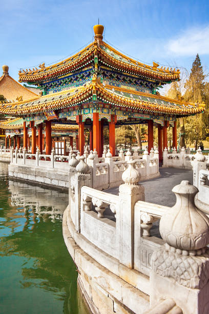 nel parco beihai a pechino cina - travel locations europe china beijing foto e immagini stock